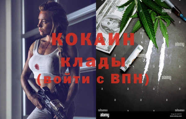 гидра Липки