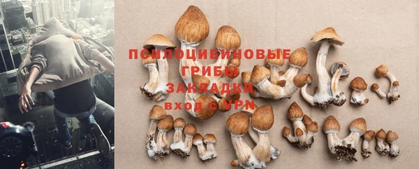 Альфа ПВП Ладушкин